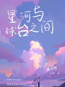 隐涩恋章封面